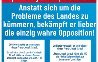 AfD - Weiden, Söder machts schon wieder