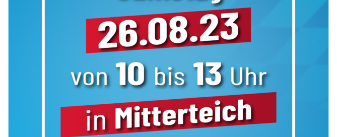 AfD Weiden Oberpfalz - Infostand in Mitterteich