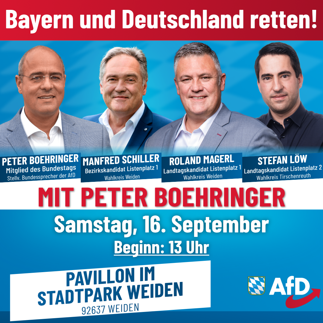 Kundgebung Bayern und Deutschland retten. Mit Peter Boehringer AfD Weiden Oberpfalz