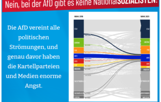 Nazis bei der AfD - Nein bei der AfD gibt es keine Nationalsozialisten!