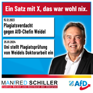 Manfred Schiller AfD - Ein Satz mit X