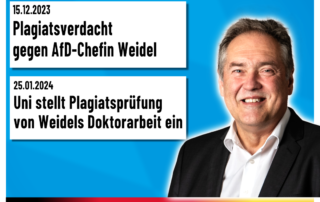 Manfred Schiller AfD - Ein Satz mit X