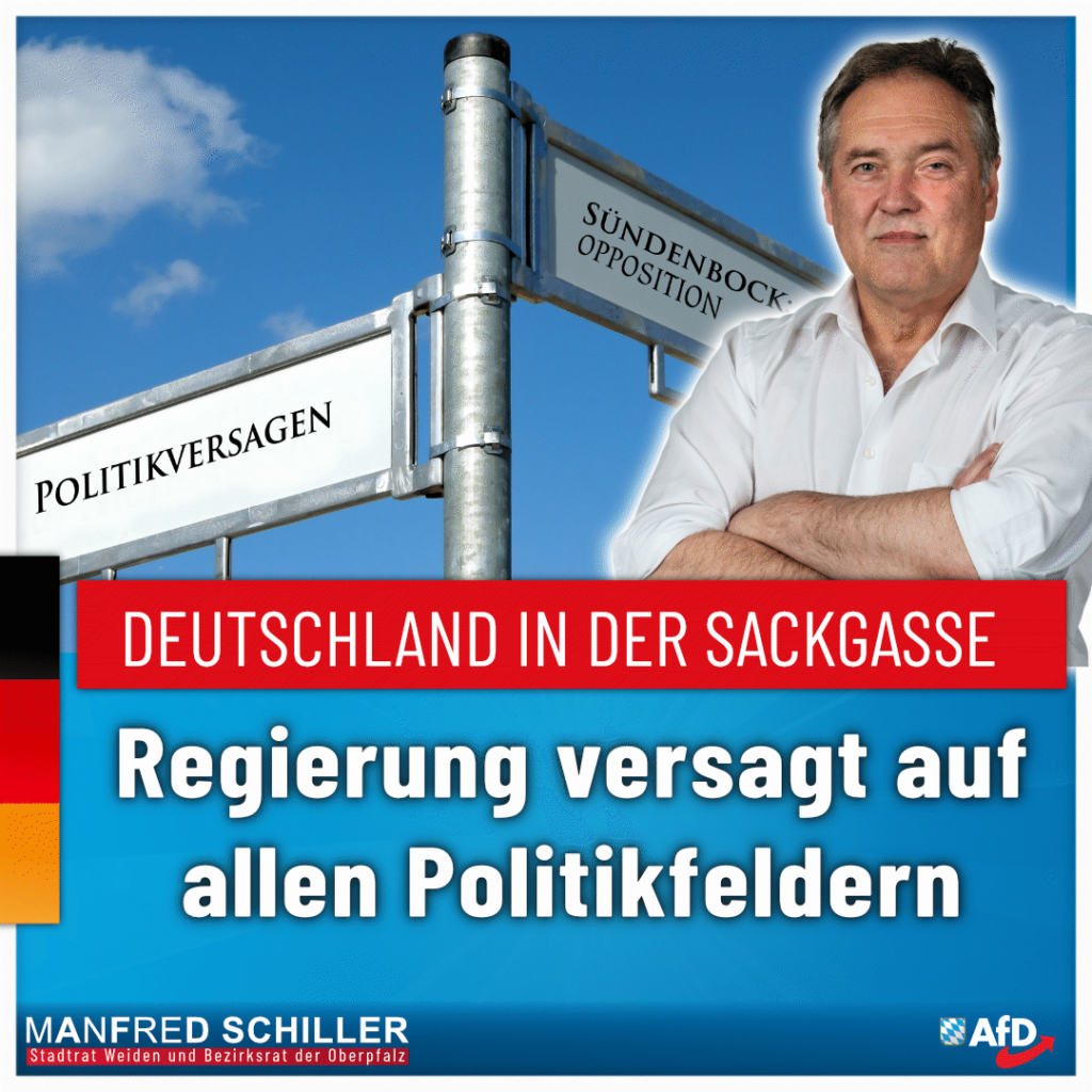 Manfred Schiller AfD - Politikversagen