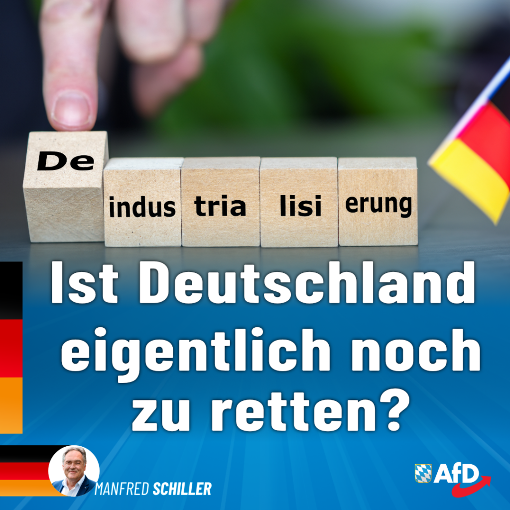 Manfred Schiller AfD -Ist Deutschland noch zu retten
