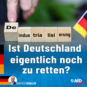 Manfred Schiller AfD -Ist Deutschland noch zu retten