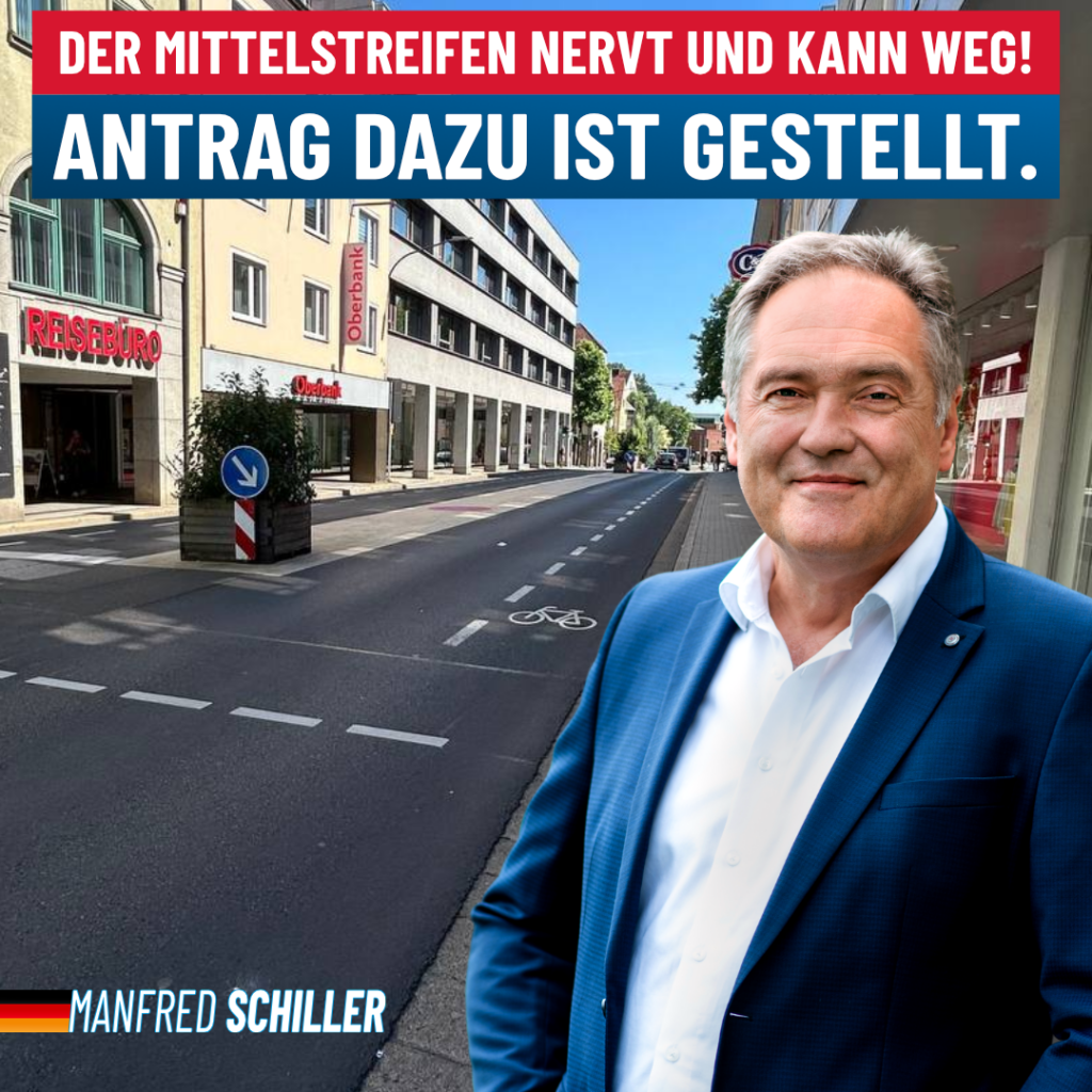 Manfred Schiller AfD - Der Mittelstreifen nervt und kann weg.