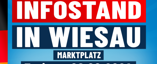 AfD Infostand - Wiesau - 09.08.2024