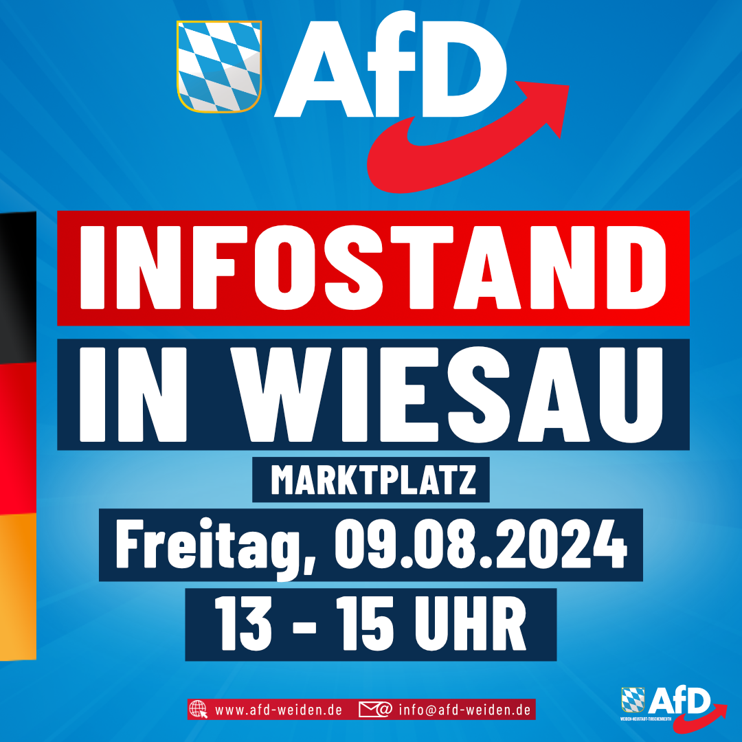 AfD Infostand - Wiesau - 09.08.2024