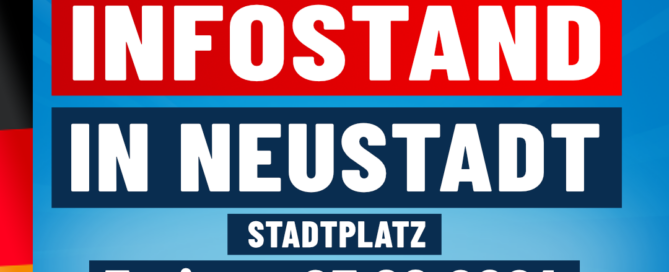 AfD Weiden - Infostand in Neustadt - 23.08.2024