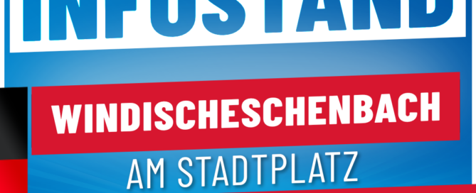 AfD Weiden Infostand - Windischeschenbach 08-11-2024