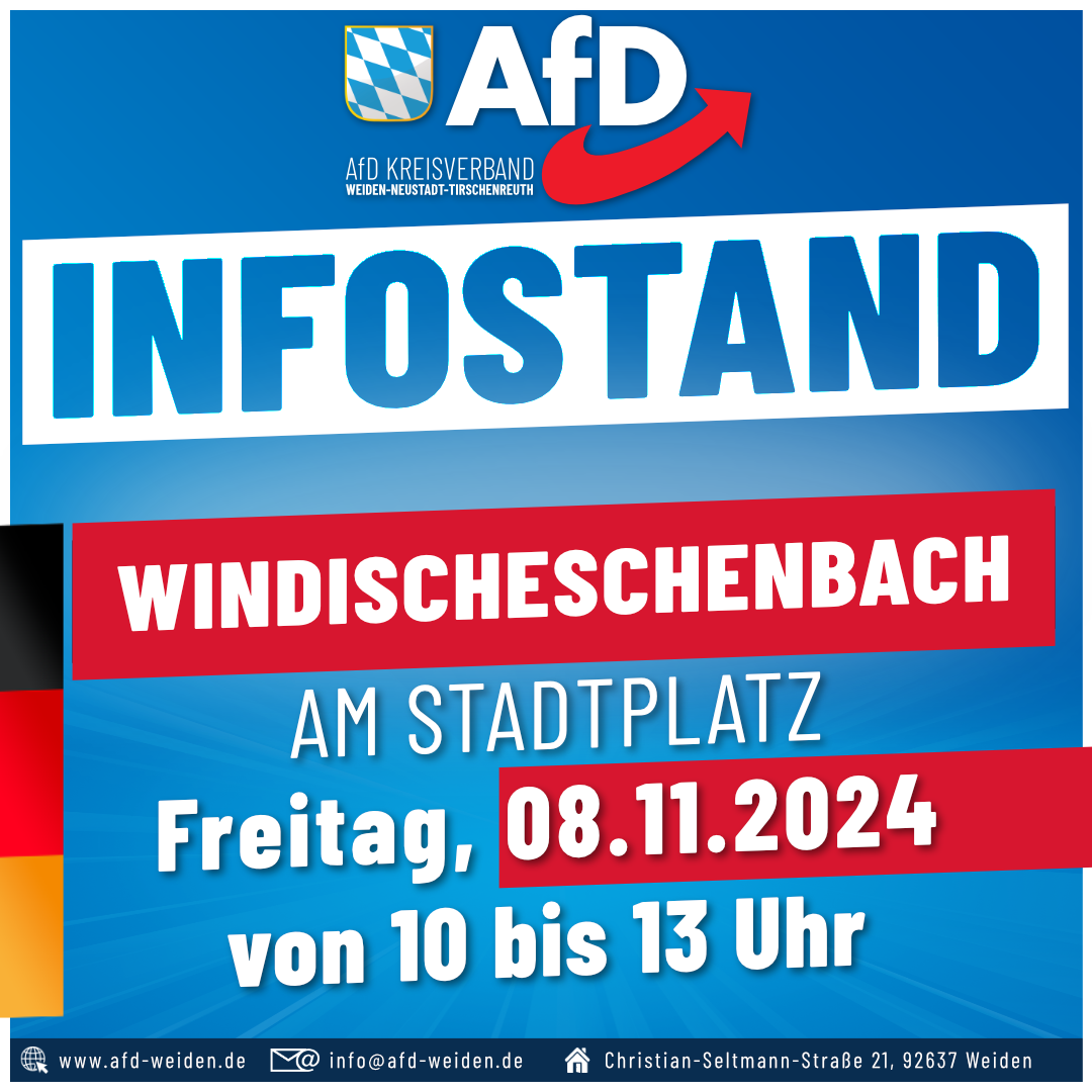 AfD Weiden Infostand - Windischeschenbach 08-11-2024