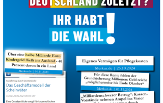 AfD Weiden - Kindergeld fürs Ausland