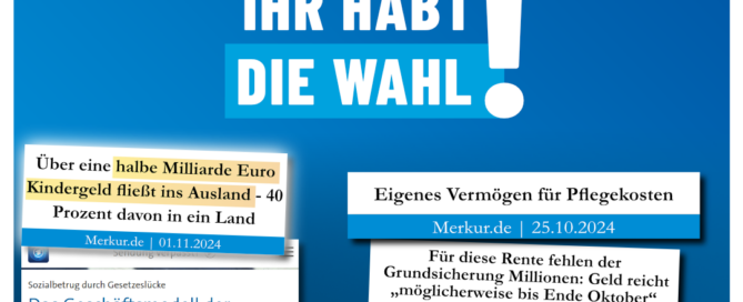 AfD Weiden - Kindergeld fürs Ausland