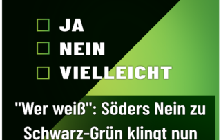 AfD - Weiden - Schwarz Grün - Ja Nein Vielleicht