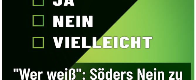 AfD - Weiden - Schwarz Grün - Ja Nein Vielleicht